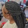 Tree Braids