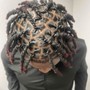 Two Strand Dreadlocks (Longer than shoulder length)