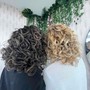 Full Highlights on Curly Hair