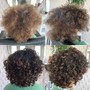 Partial Curly Highlights