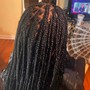 Natural Twists