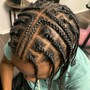 Hybrid Box Braids/Twist