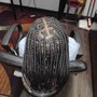 Large Senegalese/Passion/Marley/Kinky Twists