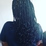 Havana Twists