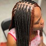 Kids Box Braids (10-14)