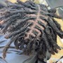 Two strand twist for loose naturals