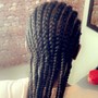 Cornrows Basic straight backs