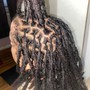 Starter Locs (Adult)