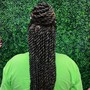 Loc styles- 2-strand twist *only*