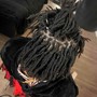 Starter Dreadlocks