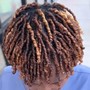 Loc Retwist