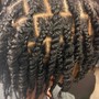 2 Strand Twist