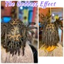 Dreadlocks Retwist