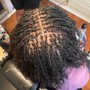 Single Braids (natural hair)