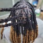 Starter Locs / Comb twist or 2strand twist