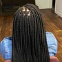 Large feedin braids