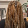 Jumbo Box Braids