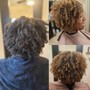 Root Touch Up