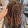 Faux Loc Extensions