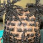 Two Strand Twist Style