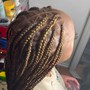 Knotless or Box Boho Bob