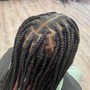 Small Feed in Braids to the back