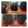 Full Sew In/Leave Out only /2 bundles