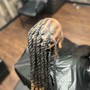 Locs hydration Treatment