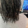 Starter Locs