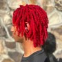 Loc detox and retwist