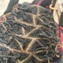 Natural Twists