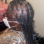 Box Braids