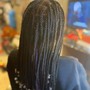 Starter locs (small)