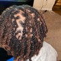 Comb Twist