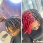 Ombre Color + Retwist w/Style