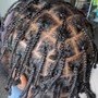 Extension Styles Over Locs