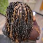 Medium Soft Locs