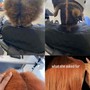 Root Touch Up