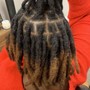 ADVANCED PALM ROLL LOC RETWIST & STYLES (MIDBACK - LOWER BACK)