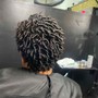 Root Touch Up