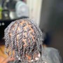 Root Touch Up