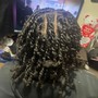 Natural Twists