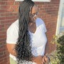 Goddess/Bohemian Knotless Braids (HAIR/SHAMPOO INCLUDED)