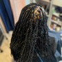 Starter locs