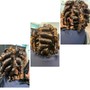 Natural Coils/Two Strand Twist