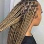 Box Braids medium / large