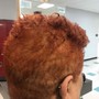 Root Touch Up