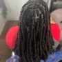 Starter Locs