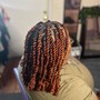 Starter Locs