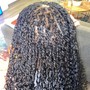 Mini Passion Twists